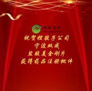 祝贺控股子公司宁波双成 盐酸美金刚片获得药品注册批件